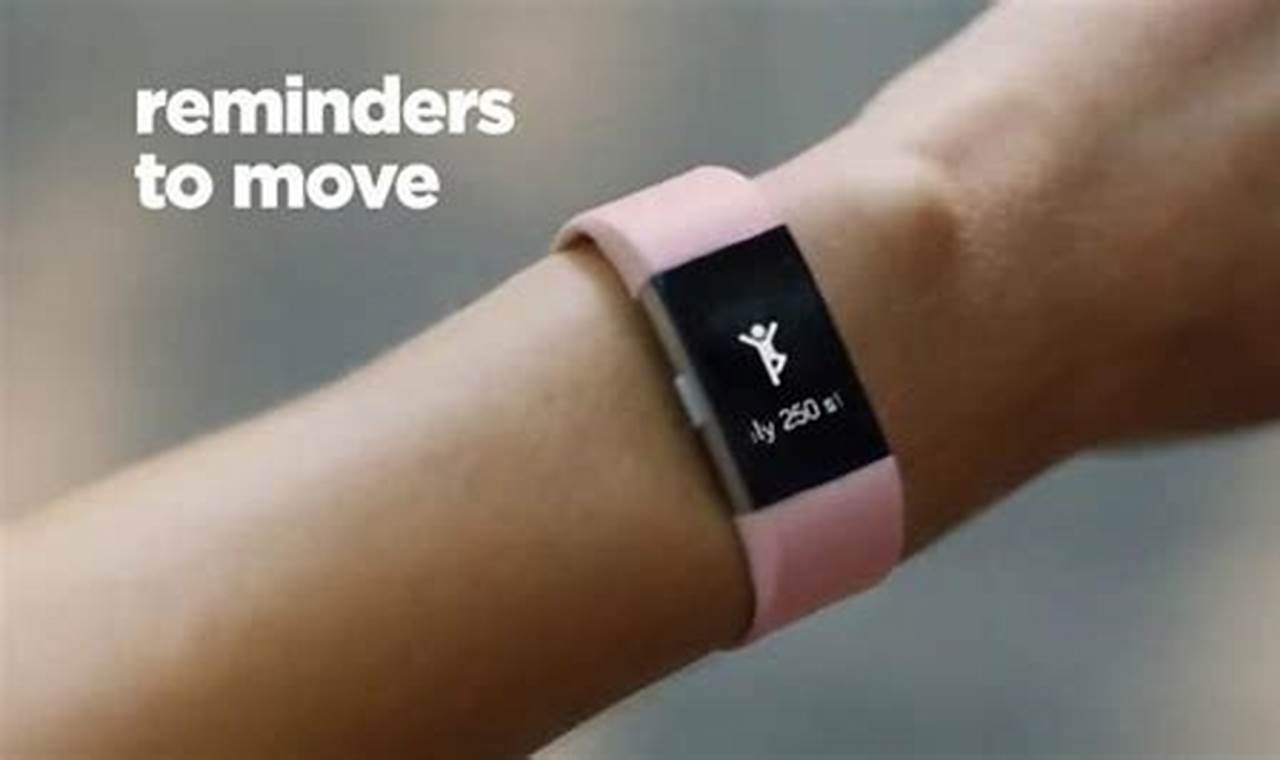 Fitbit Commercial 2024