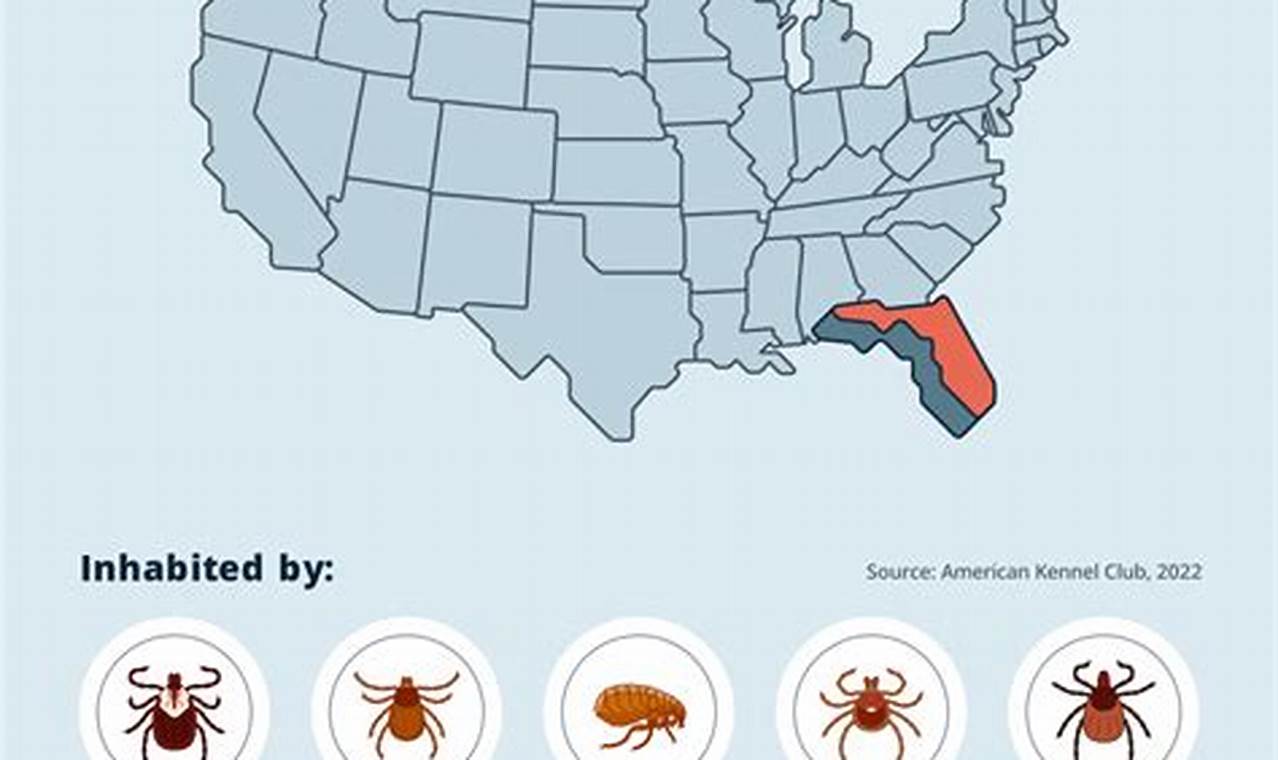 Flea Across Florida 2024 Dates