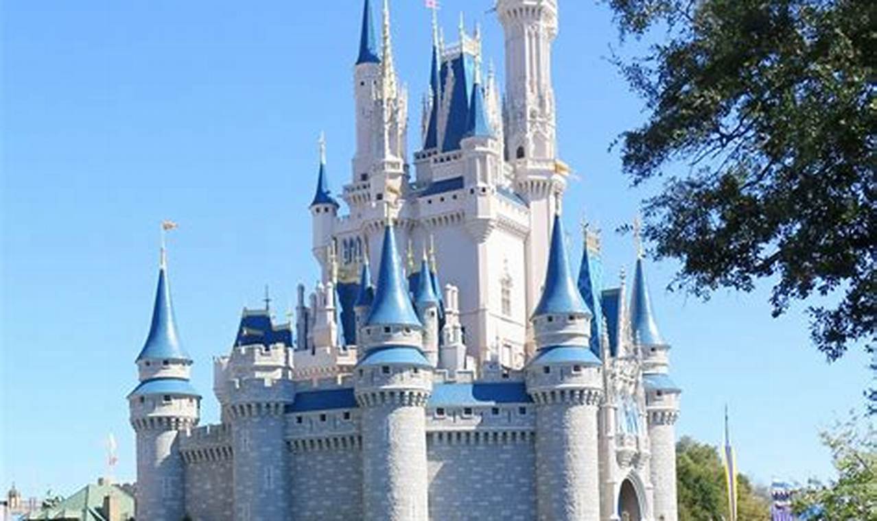 Florida Disney Castle 2024 Lok