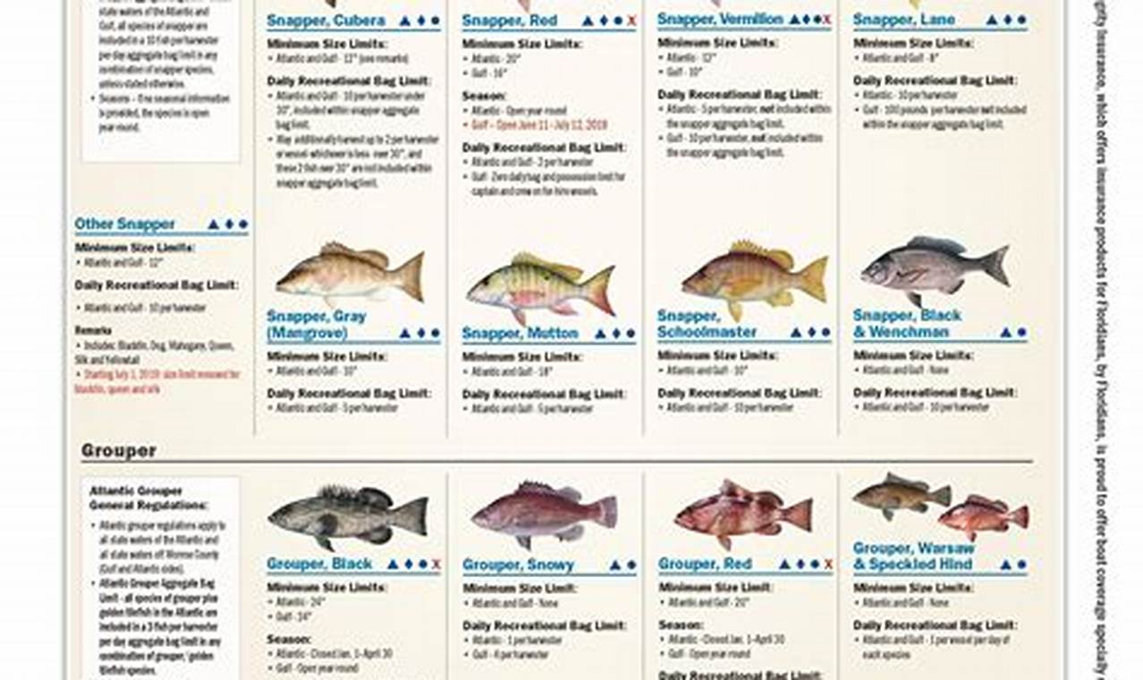 Florida Fishing Regulations 2024