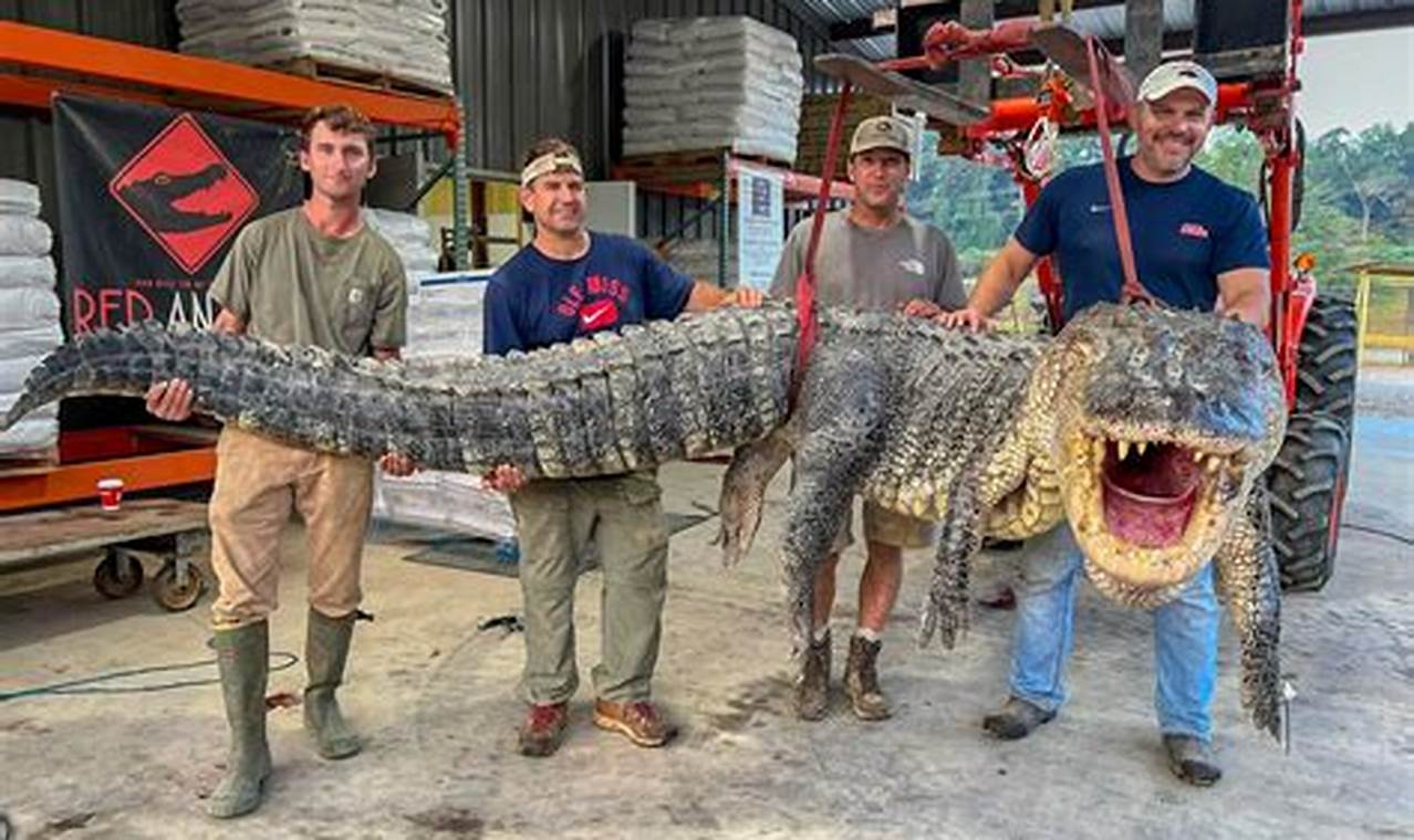 Florida Gator Record 2024