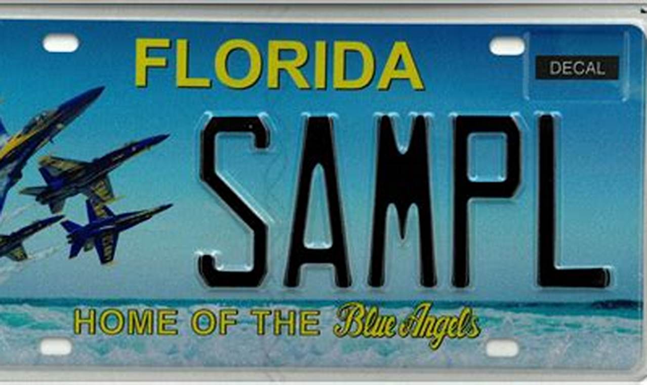 Florida License Plates 2024