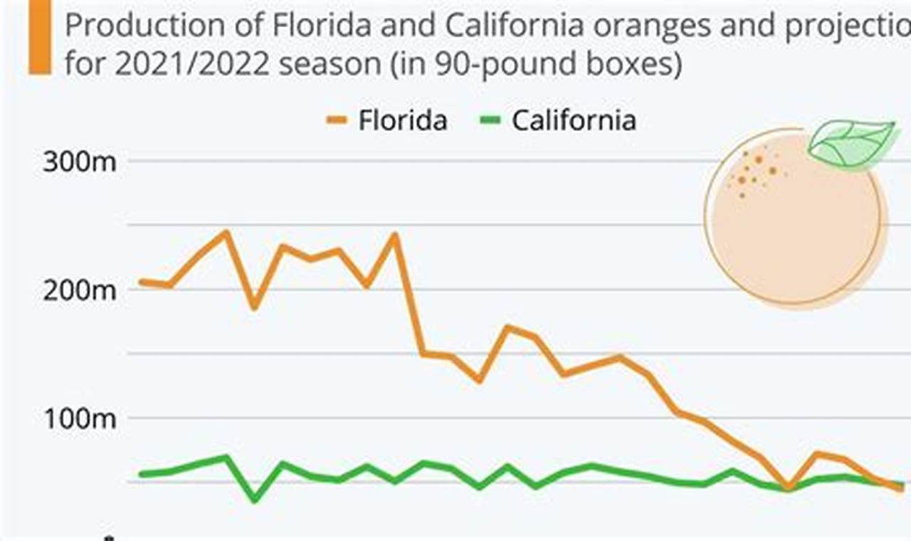 Florida Orange Crop 2024