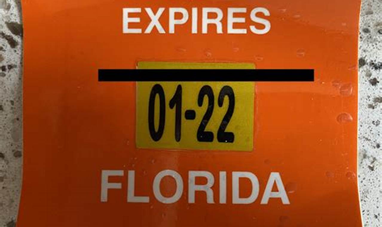 Florida Registration Sticker 2024