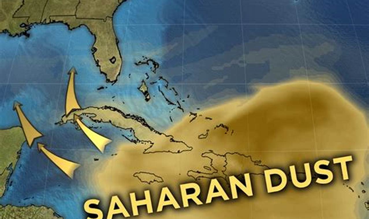 Florida Sand Storm 2024