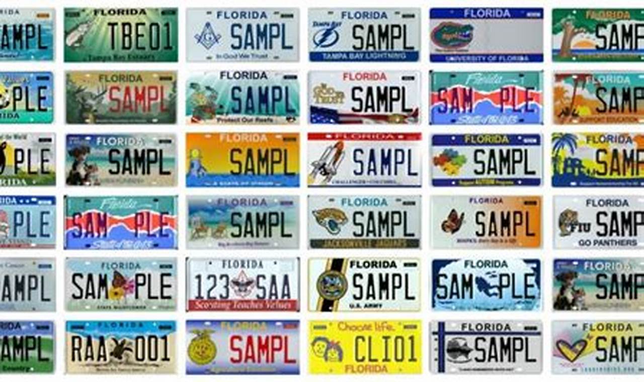 Florida Specialty License Plates 2024