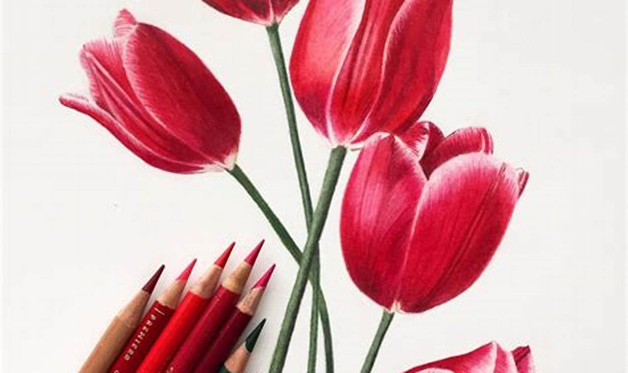 Coloring a Flower with Colored Pencils