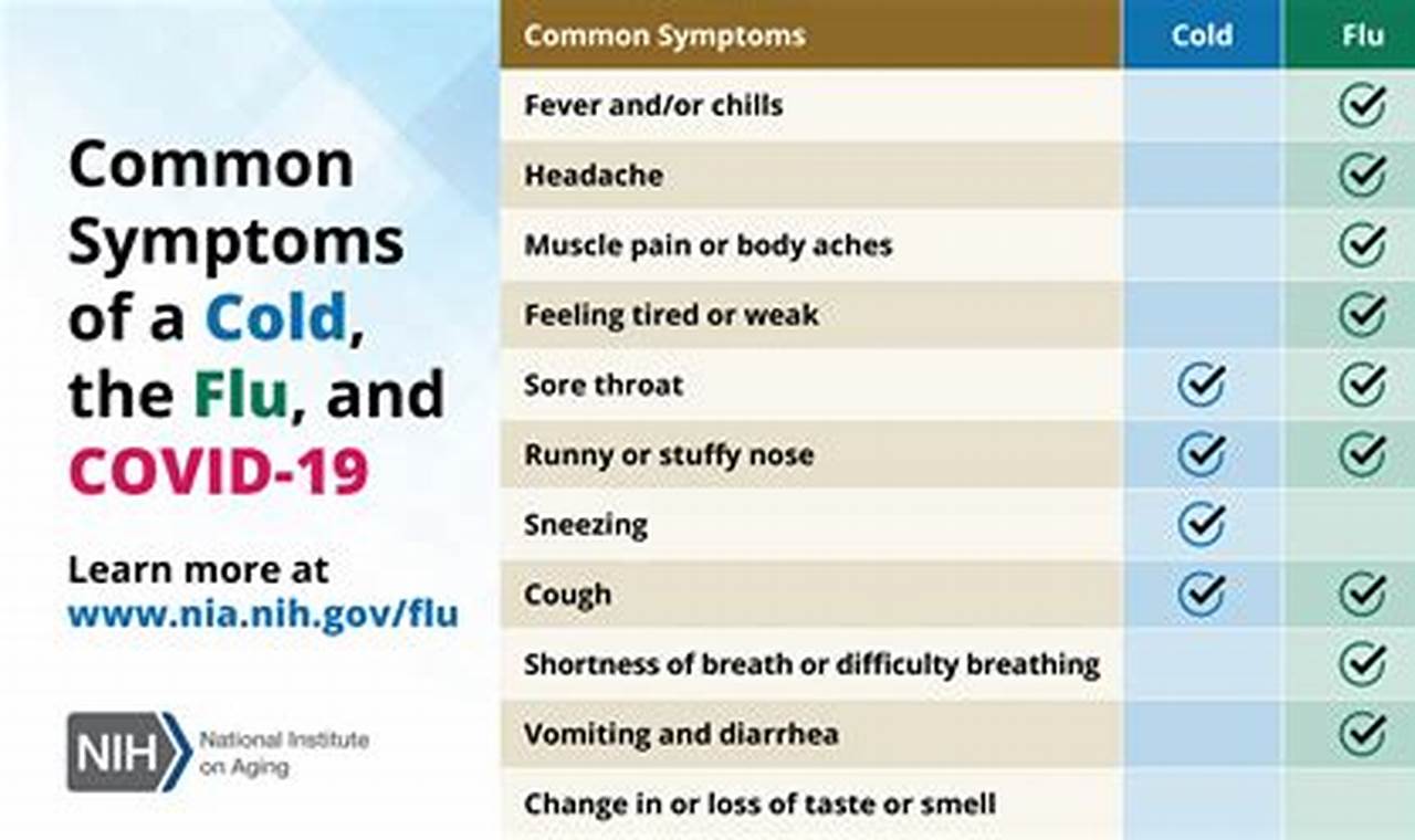 Flu Symptoms 2024 Adults