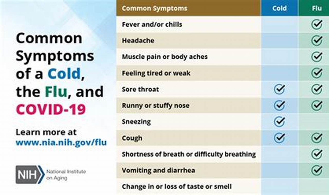 Flu Symptoms 2024 Adults Today 2024 Cdc