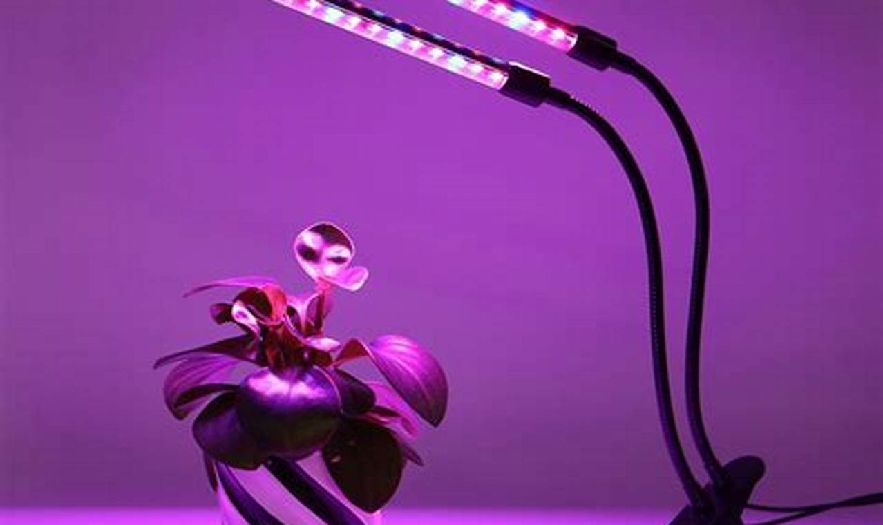 Fluorescent Light For Plants