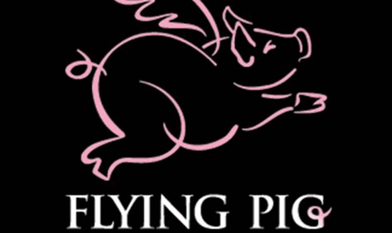 Flying Pig Winner 2024