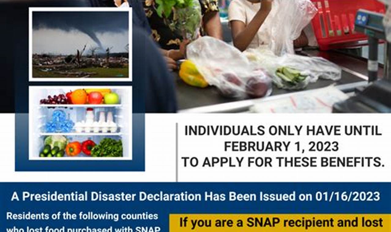 Food Stamp Replacement For Power Outage 2024