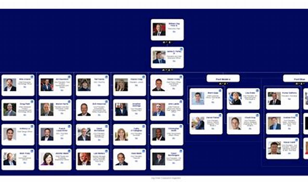 Ford Organizational Structure 2024