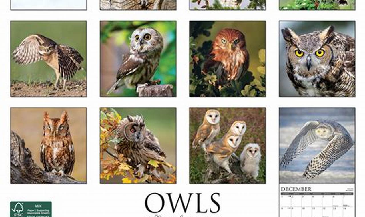 Forest City Owls 2024 Schedule