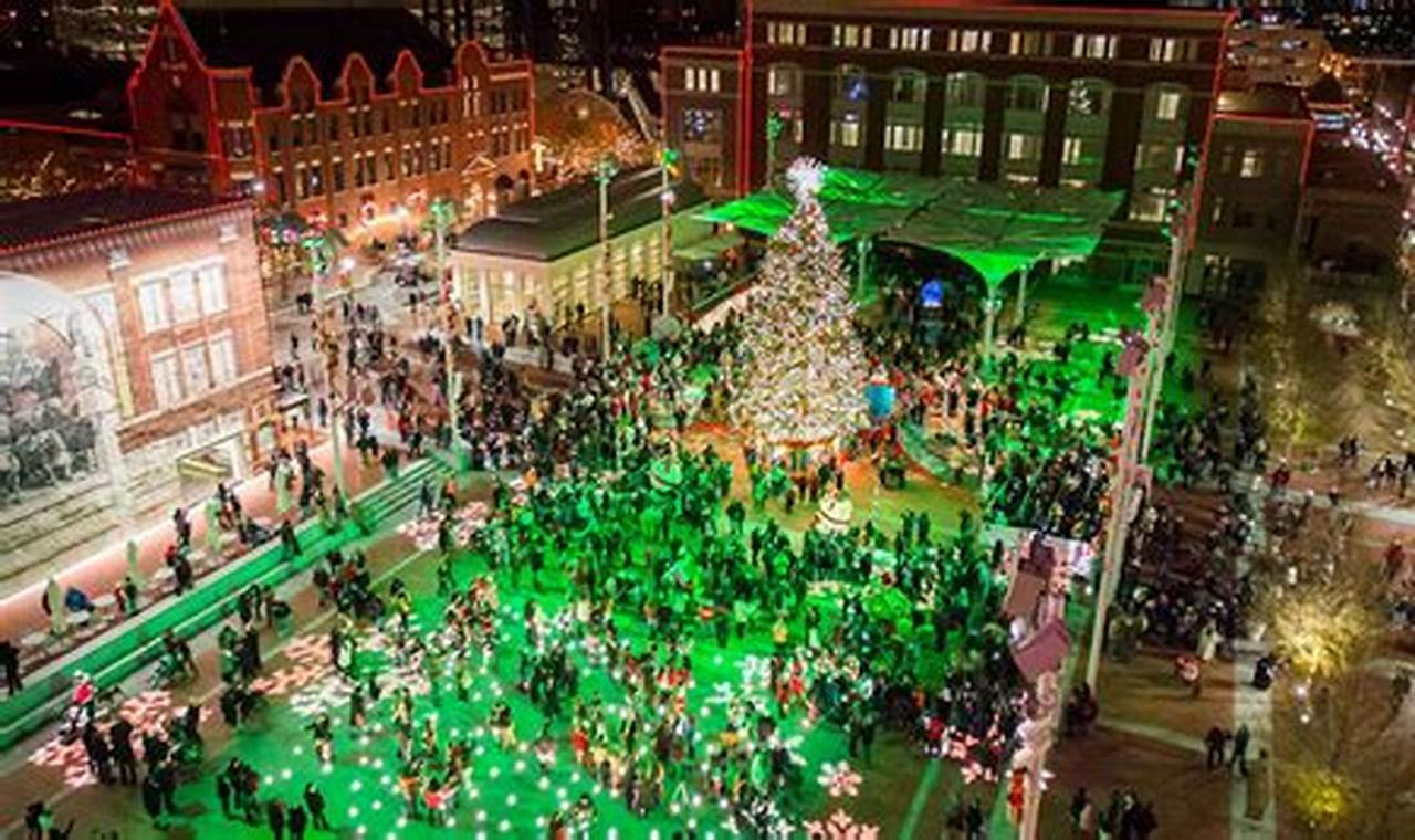 Fort Worth Christmas Tree 2024