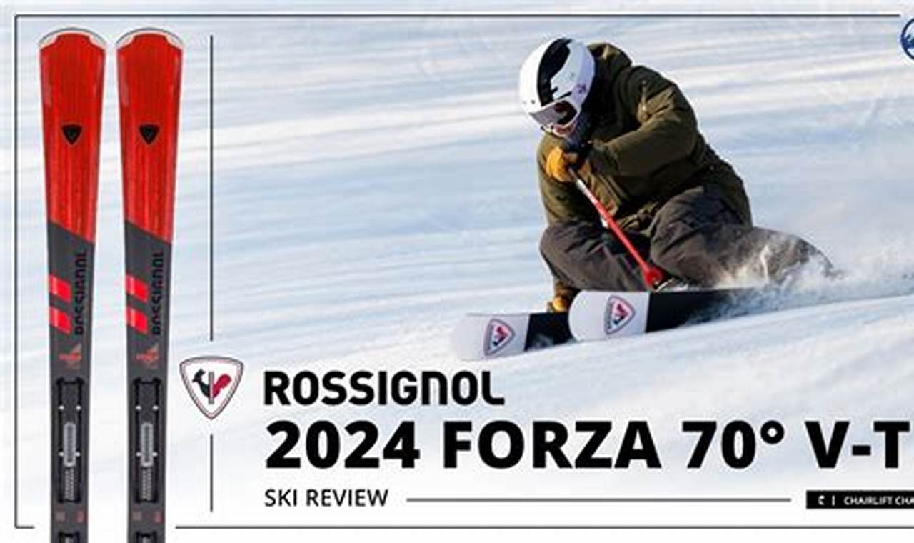 Forza 2024 Review