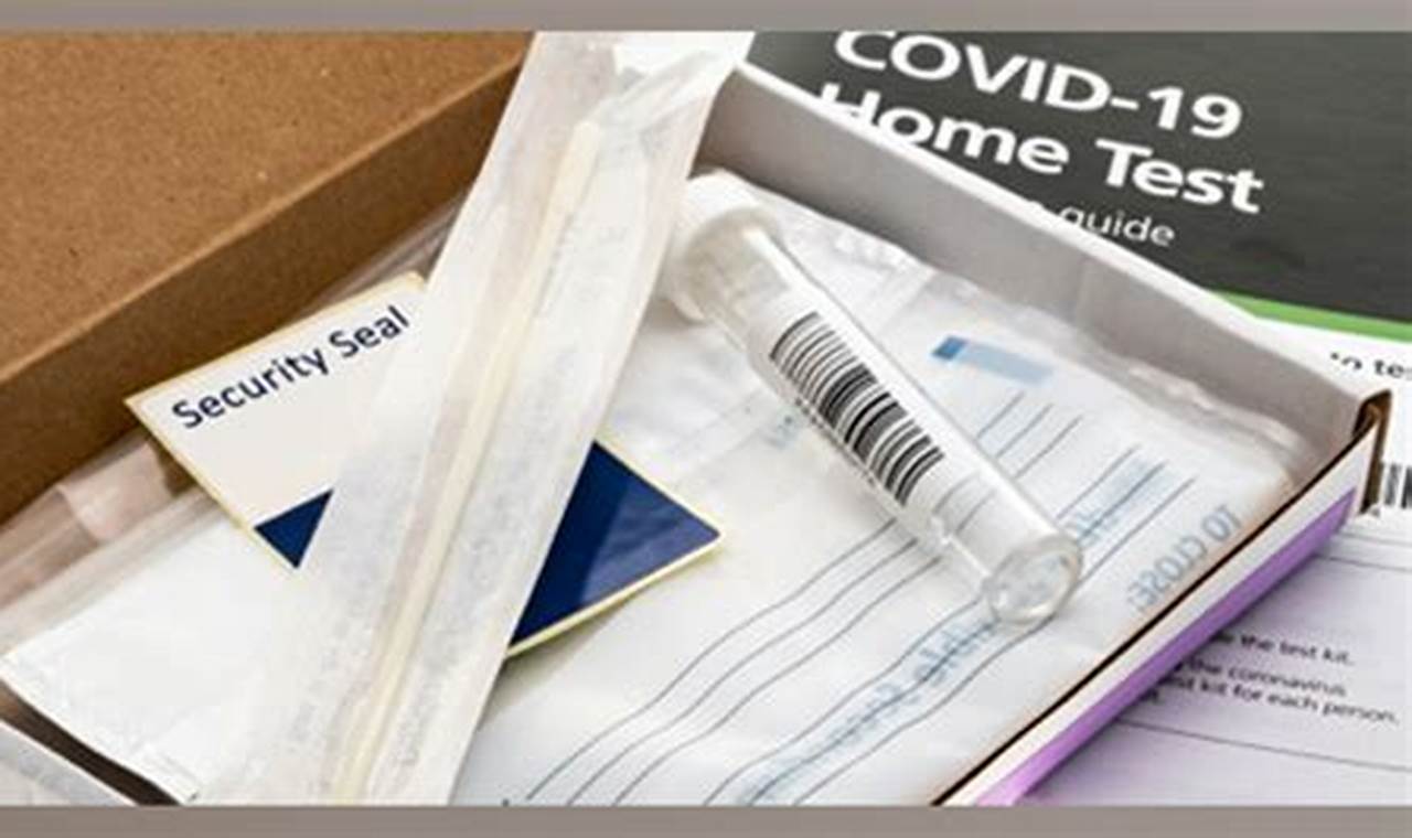 Free Government Covid Test Kits By Mail 2024