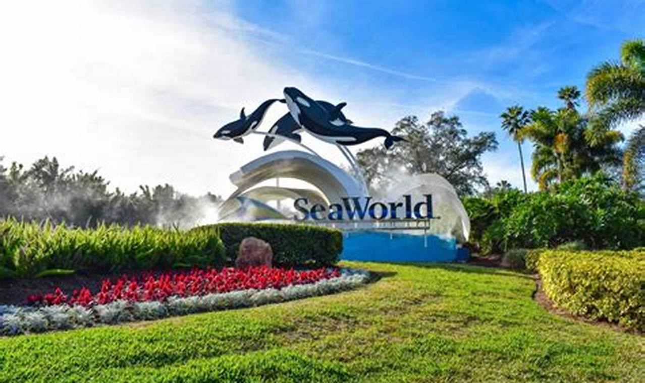 Free Veteran Tickets Seaworld Orlando 2024 Lok