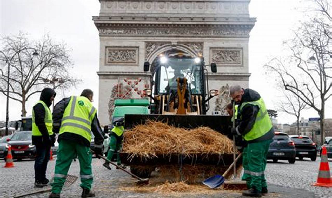 French Farmers Protest 2024
