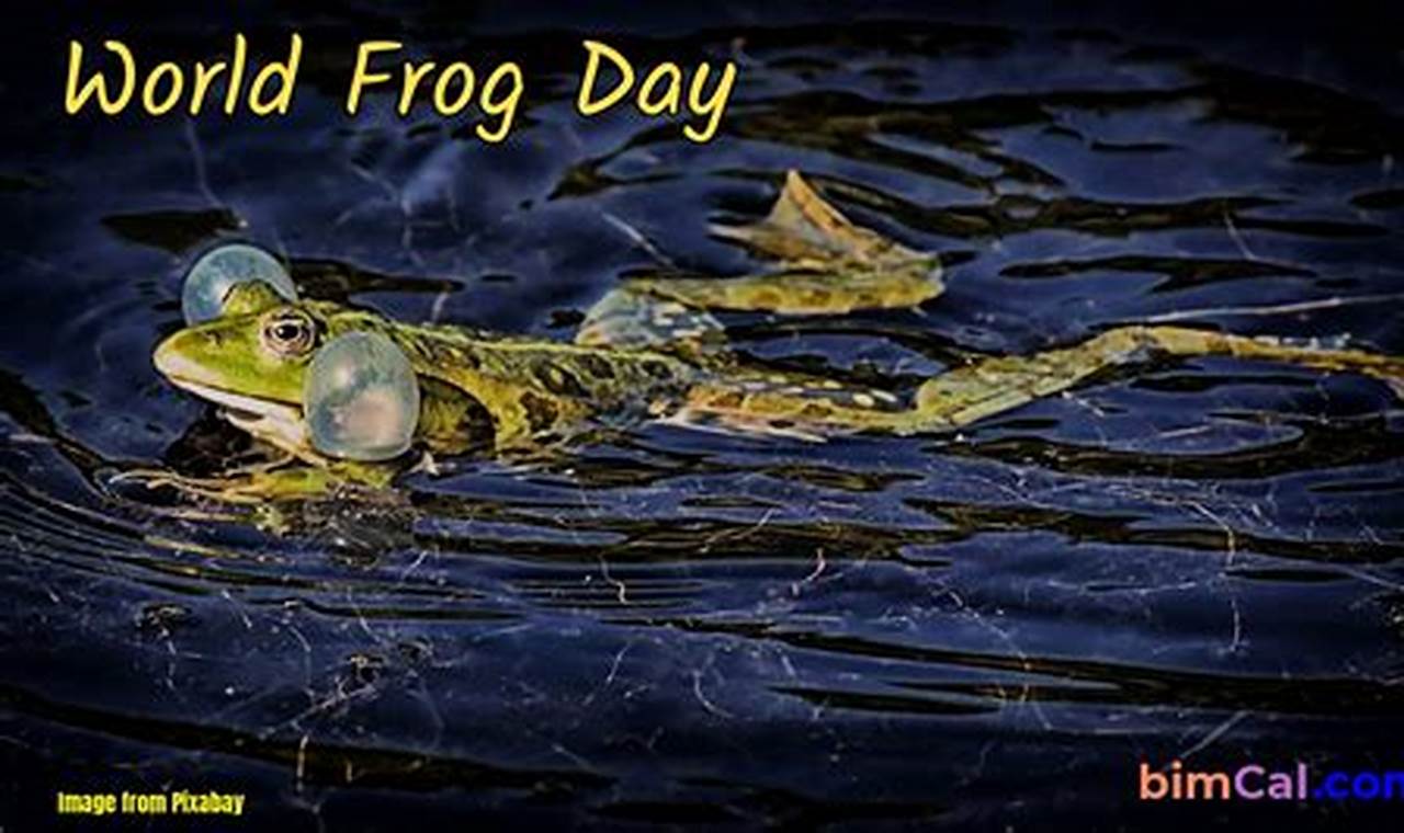 Frog Day 2024 Olympics