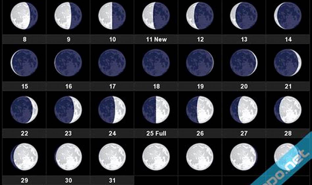 Full Moon Schedule January 2024