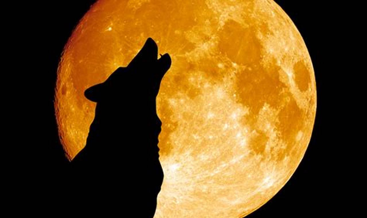 Full Wolf Moon 2024