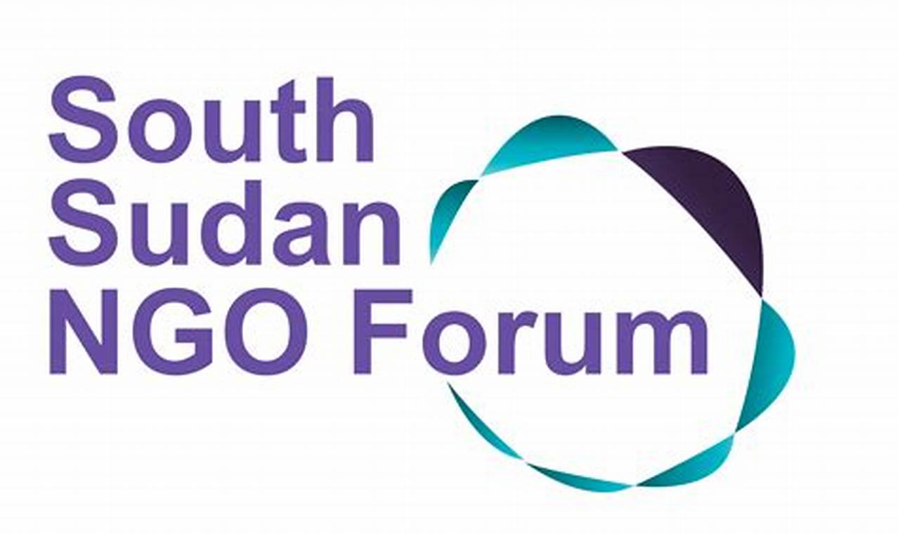 Funding Opportunities For South Sudan 2024