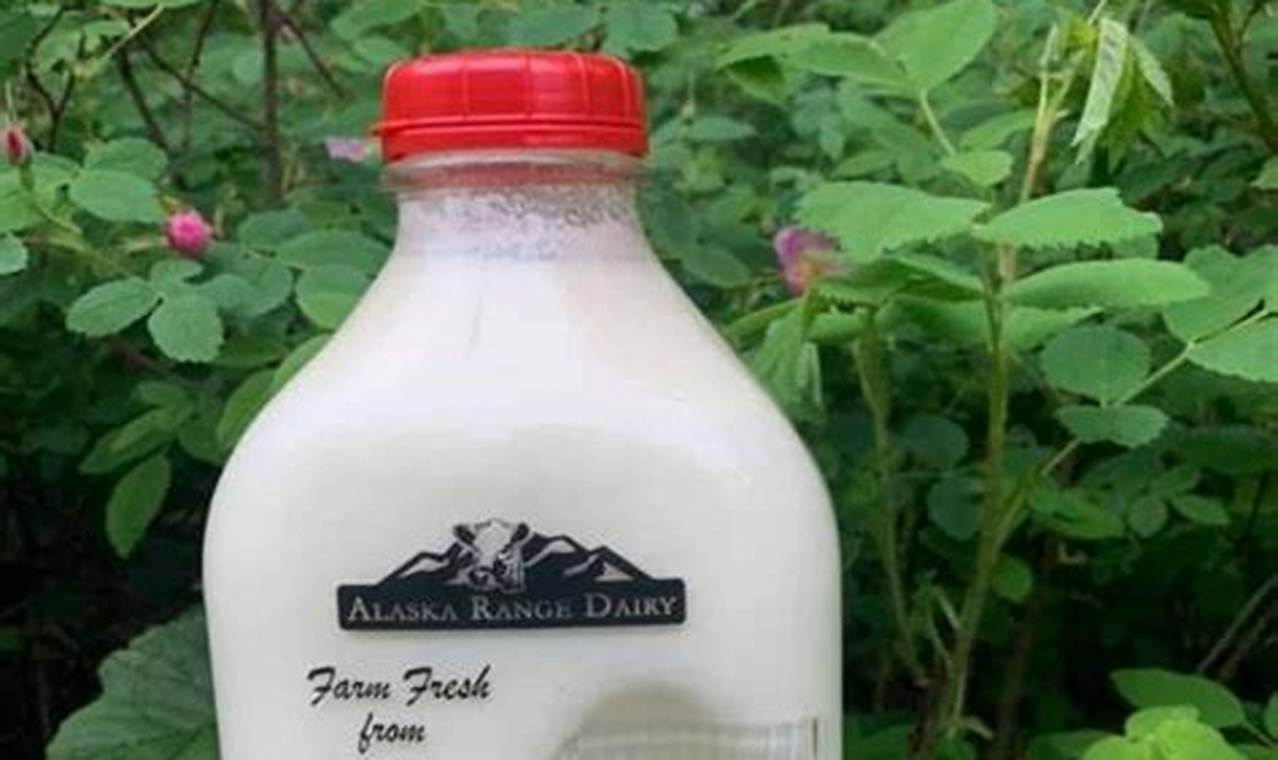 Gallon Of Milk In Alaska 2024