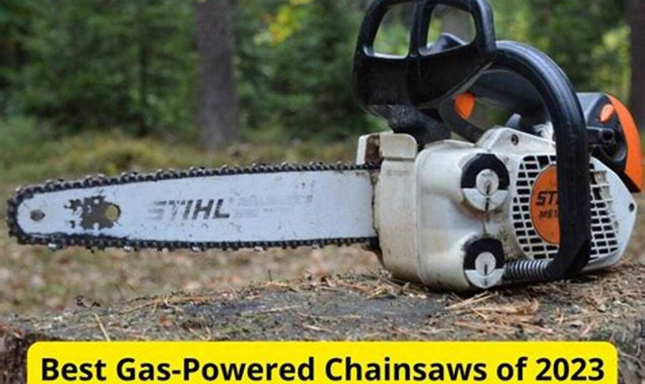 Gas Chainsaw Reviews 2024