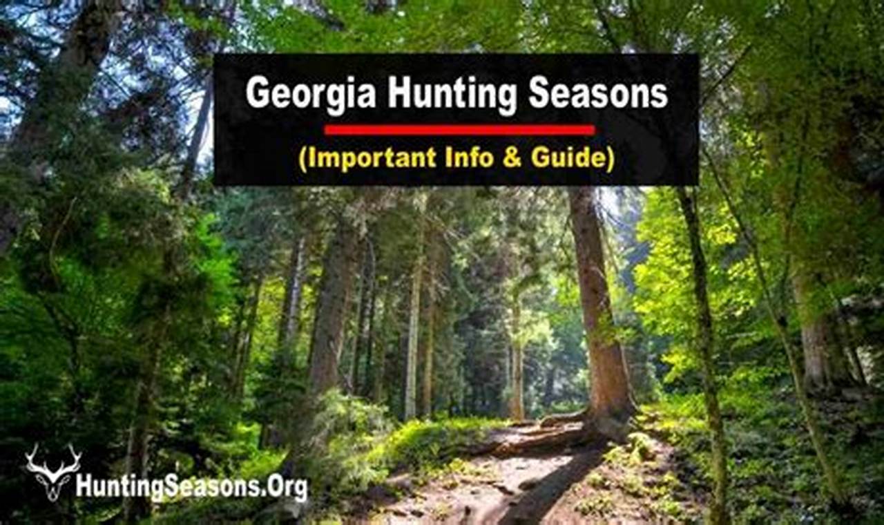 Georgia Hunting Season 2024-24