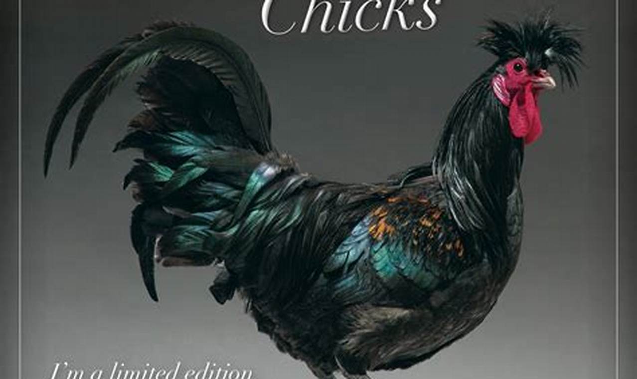 Glamour Chicks Calendar 2024