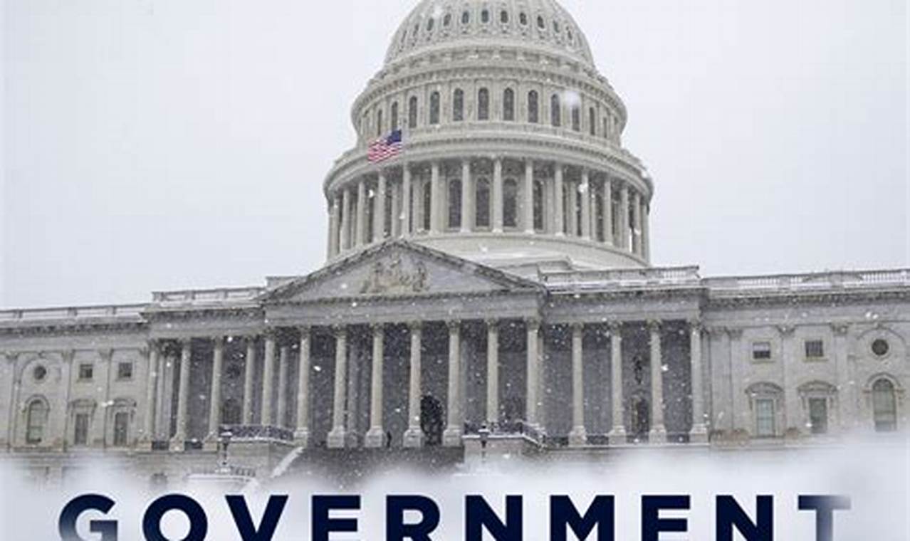Government Shutdown 2024 January
