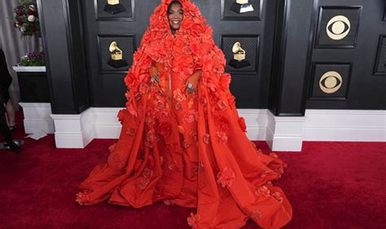 Grammy Red Carpet 2024 People