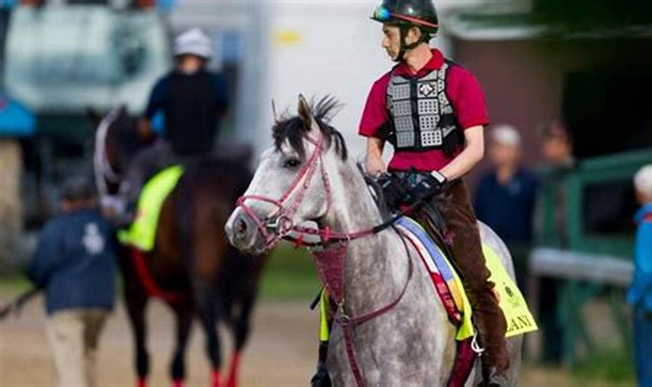 Gray Horse Kentucky Derby 2024