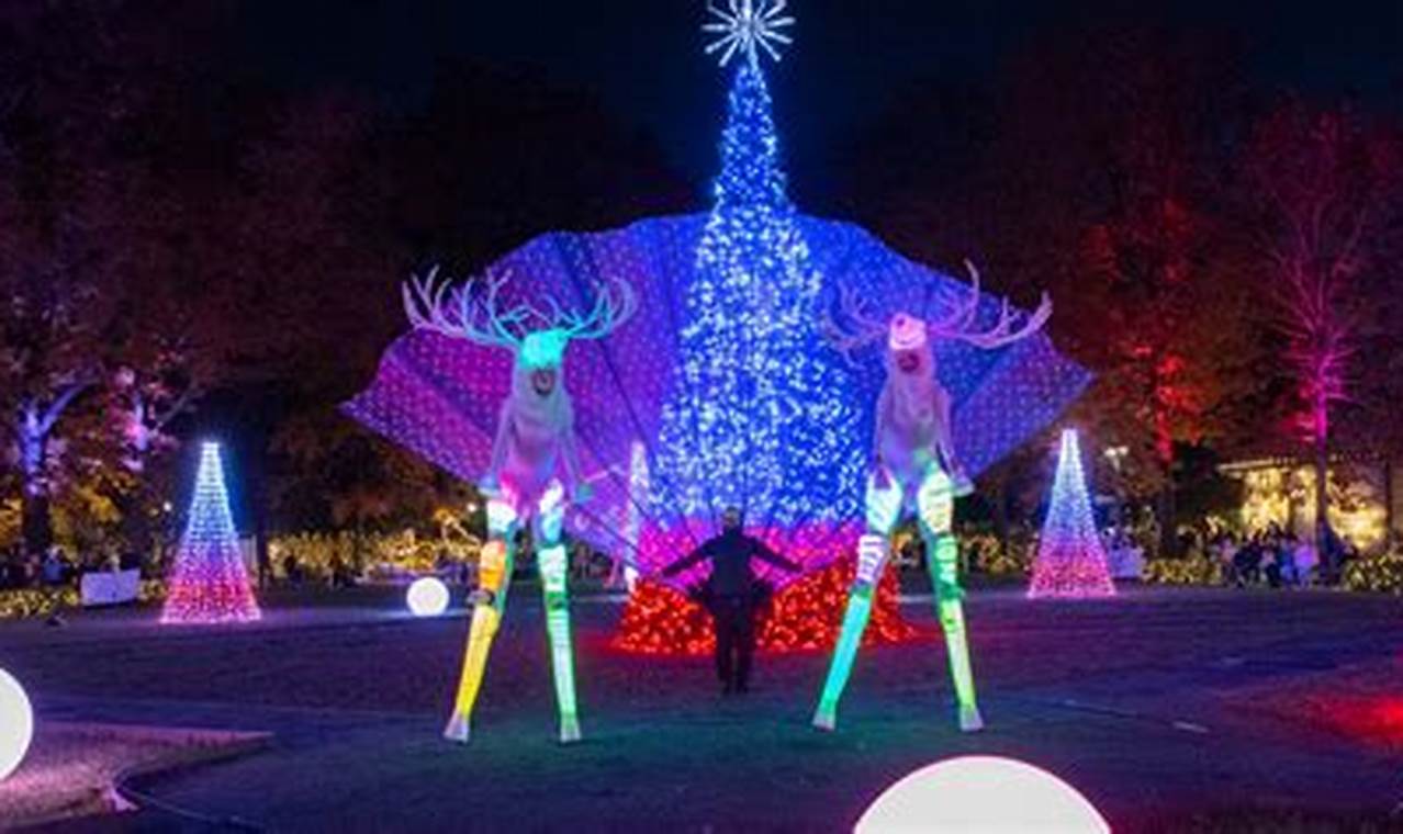 Greenville Zoo Christmas Lights 2024