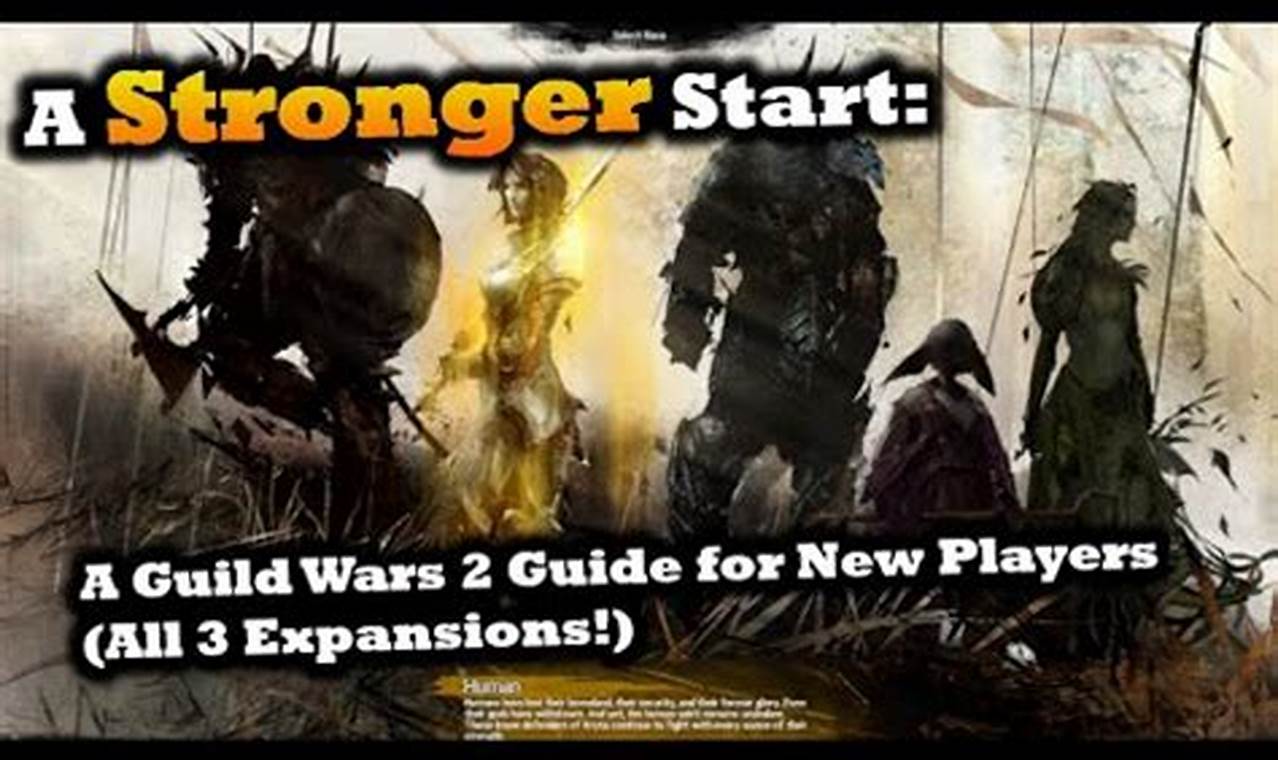 Gw2 New Player Guide 2024