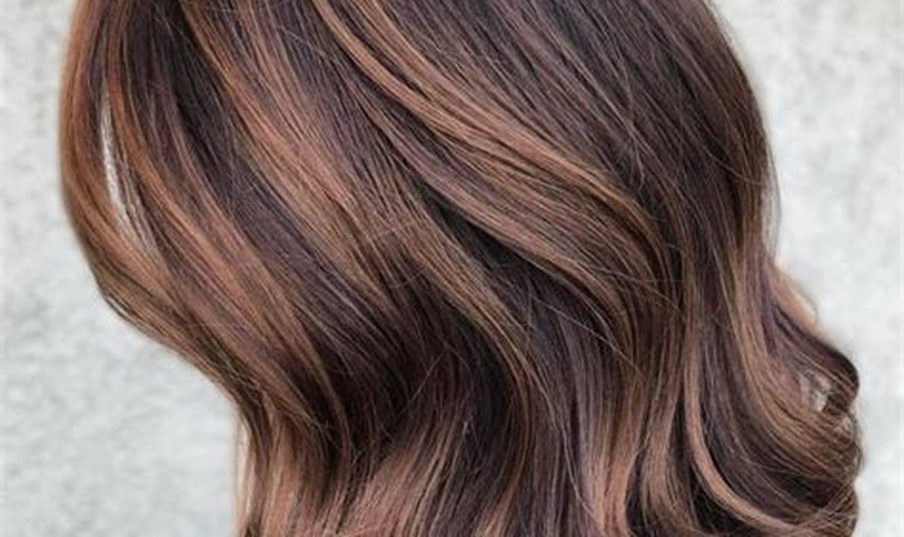 Hair Color Ideas 2024 For Brunettes