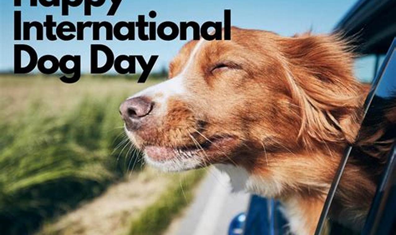 Happy International Dog Day 2024