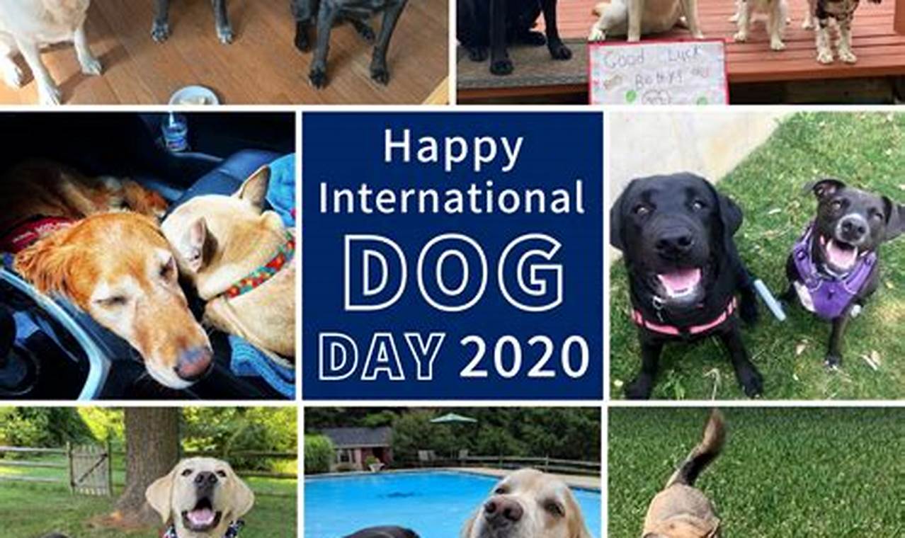 Happy International Dog Day 2024 Calendar