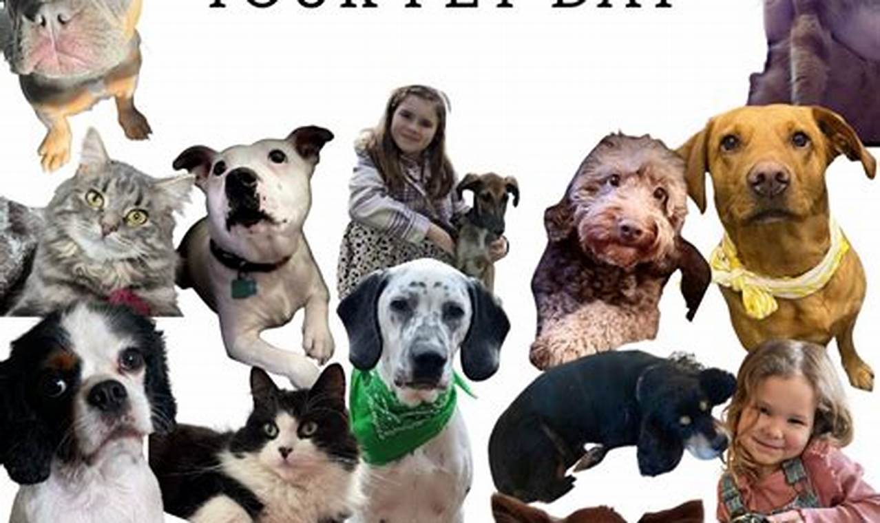 Happy National Love Your Pet Day 2024 Date