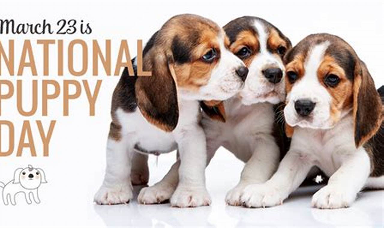 Happy National Puppy Day 2024 Clipart