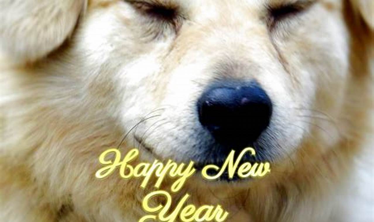 Happy New Year 2024 Images With Dogs