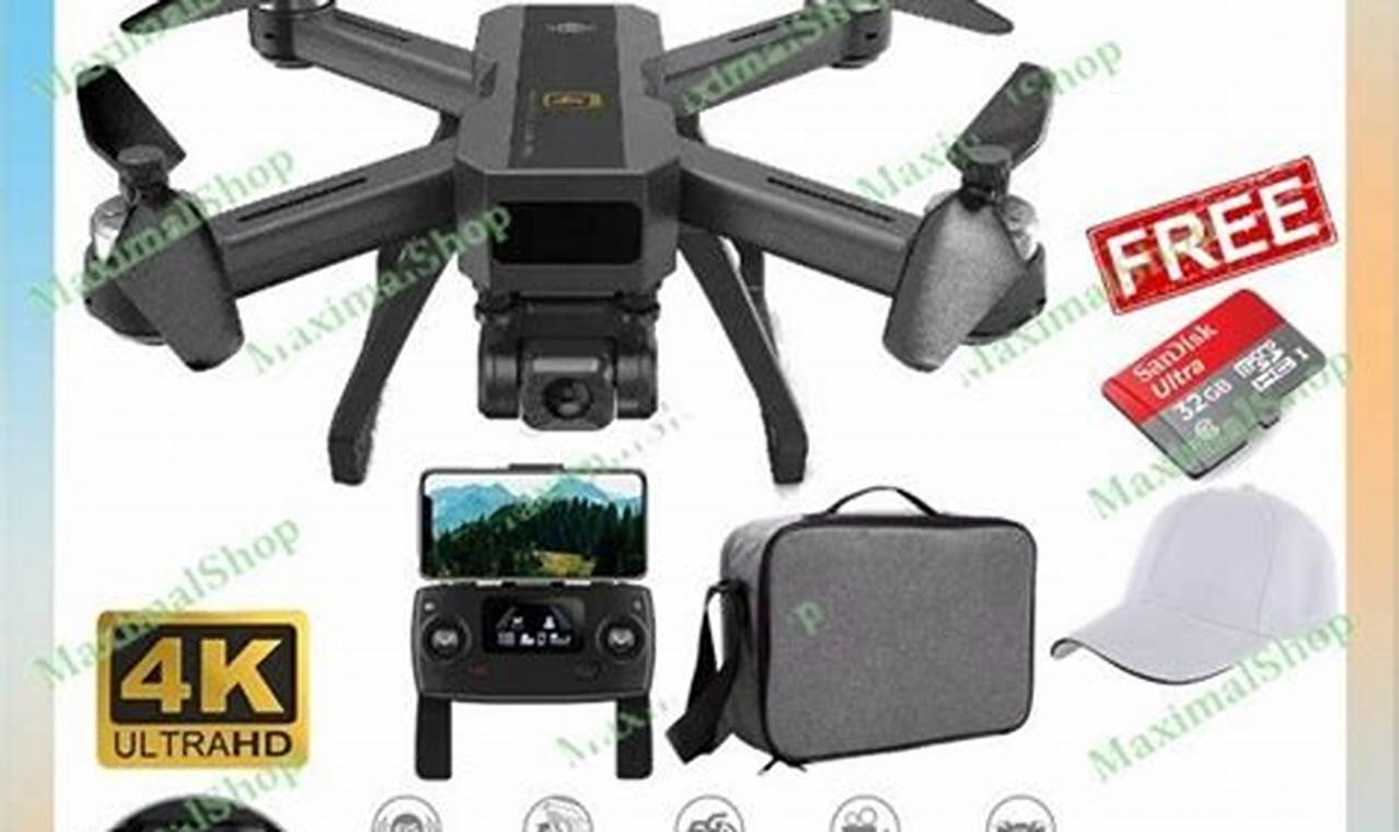 Harga Drone mjx bugs 20 eis