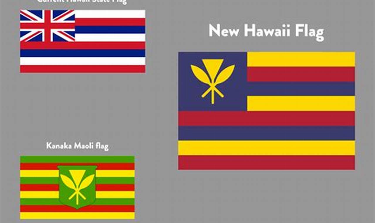 Hawaii Flag 2024