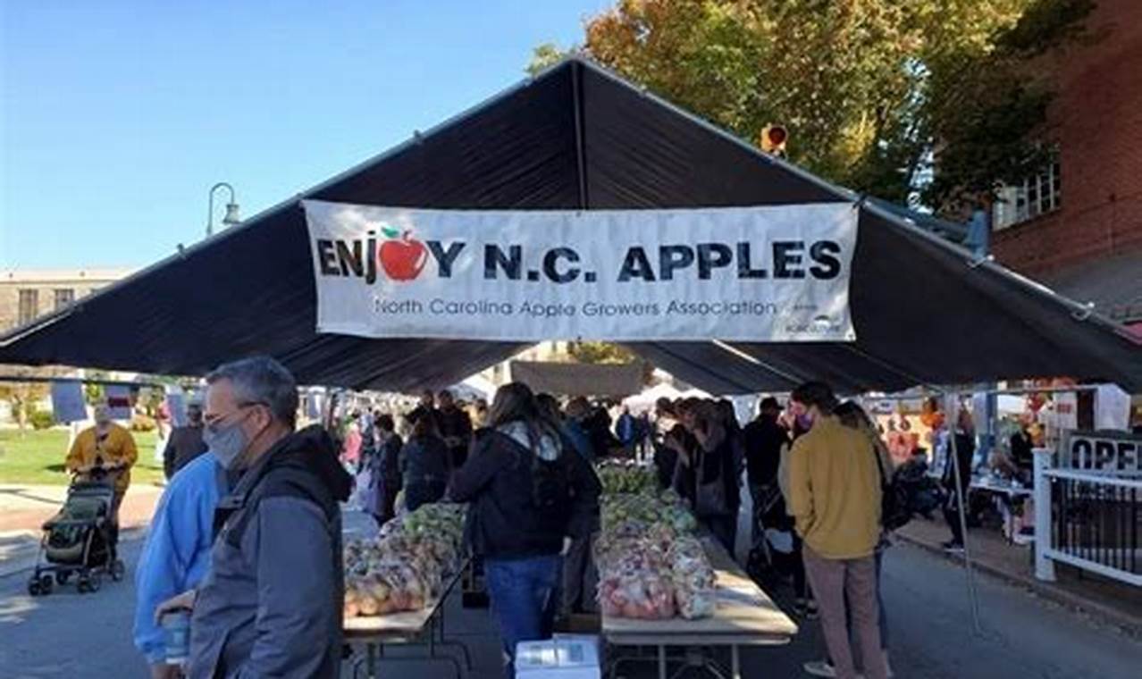 Haywood County Apple Festival 2024