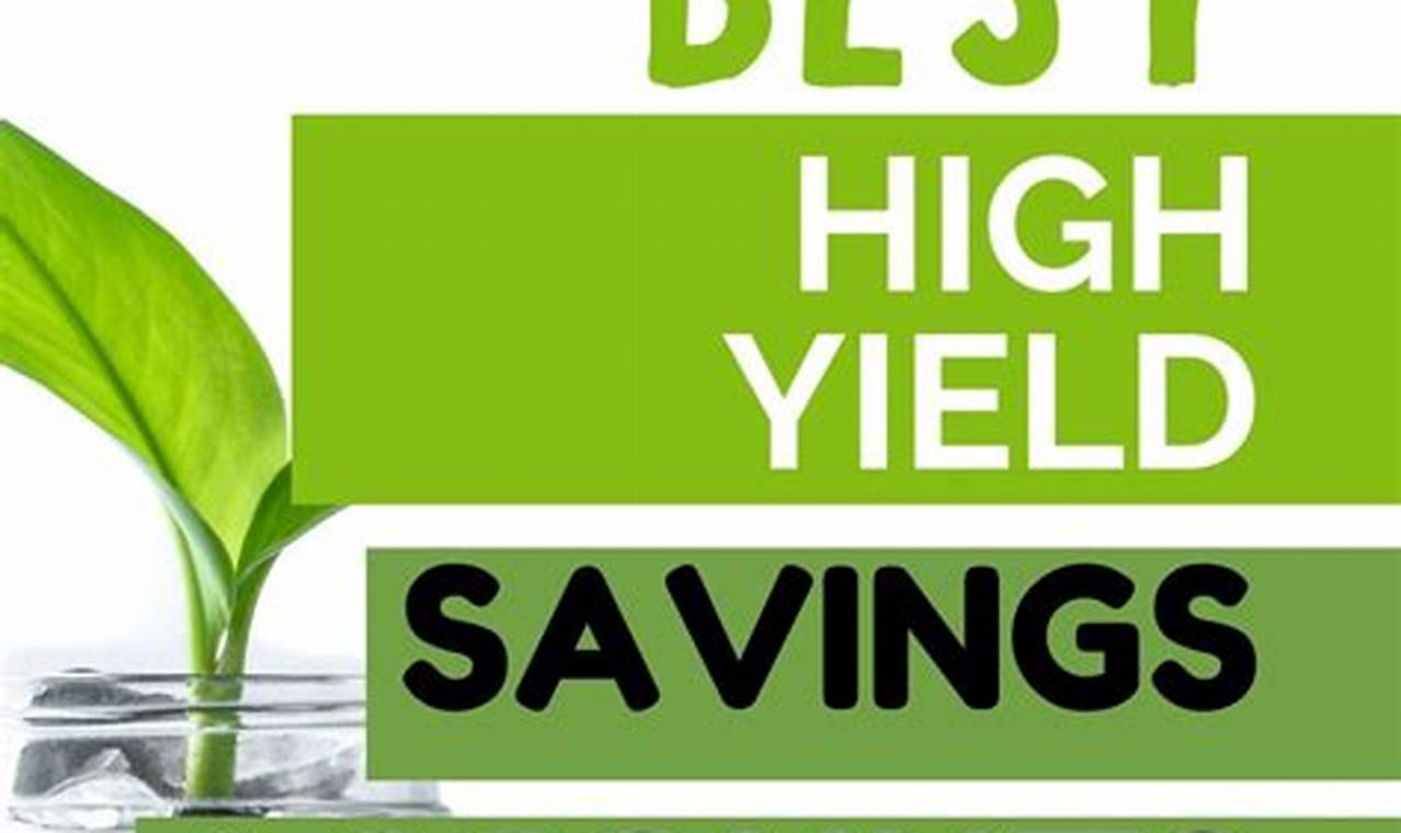 High Yield Savings 2024