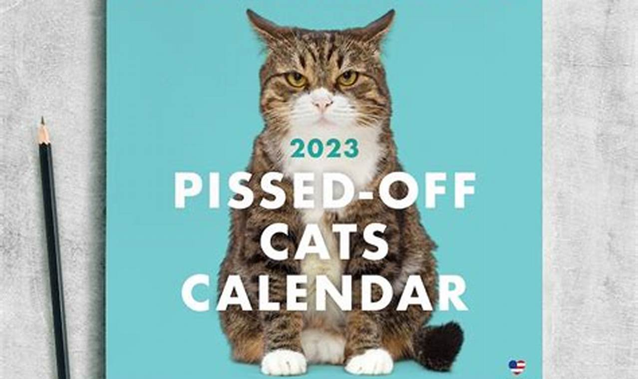 Hilarious 2024 Calendar Calculator Code