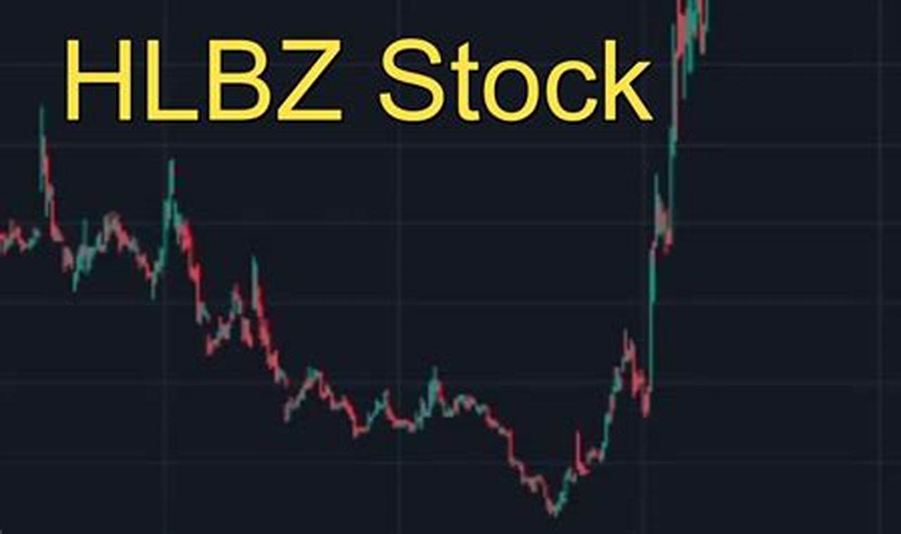Hlbz Stock Forecast 2024