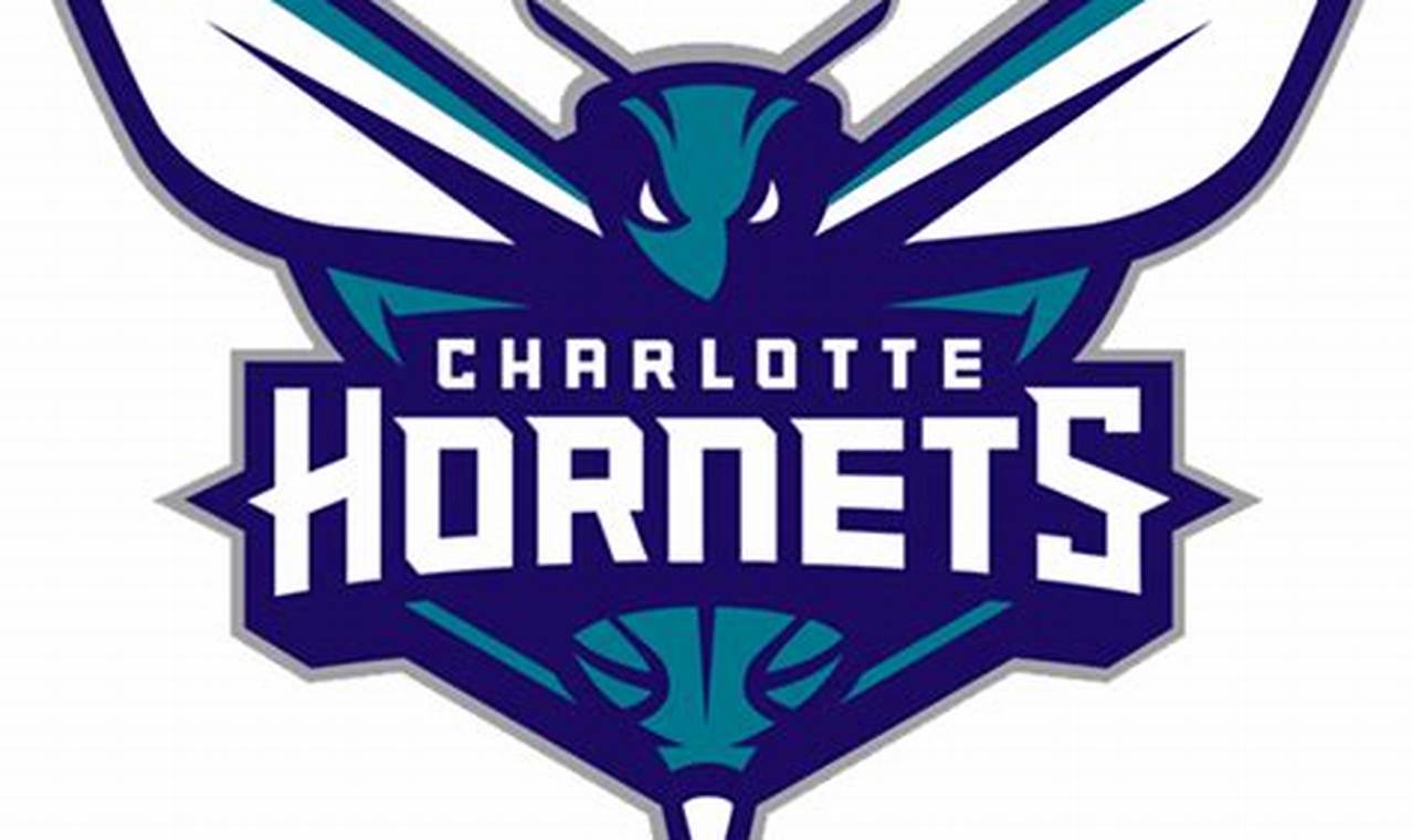 Hornets Draft Pick 2024