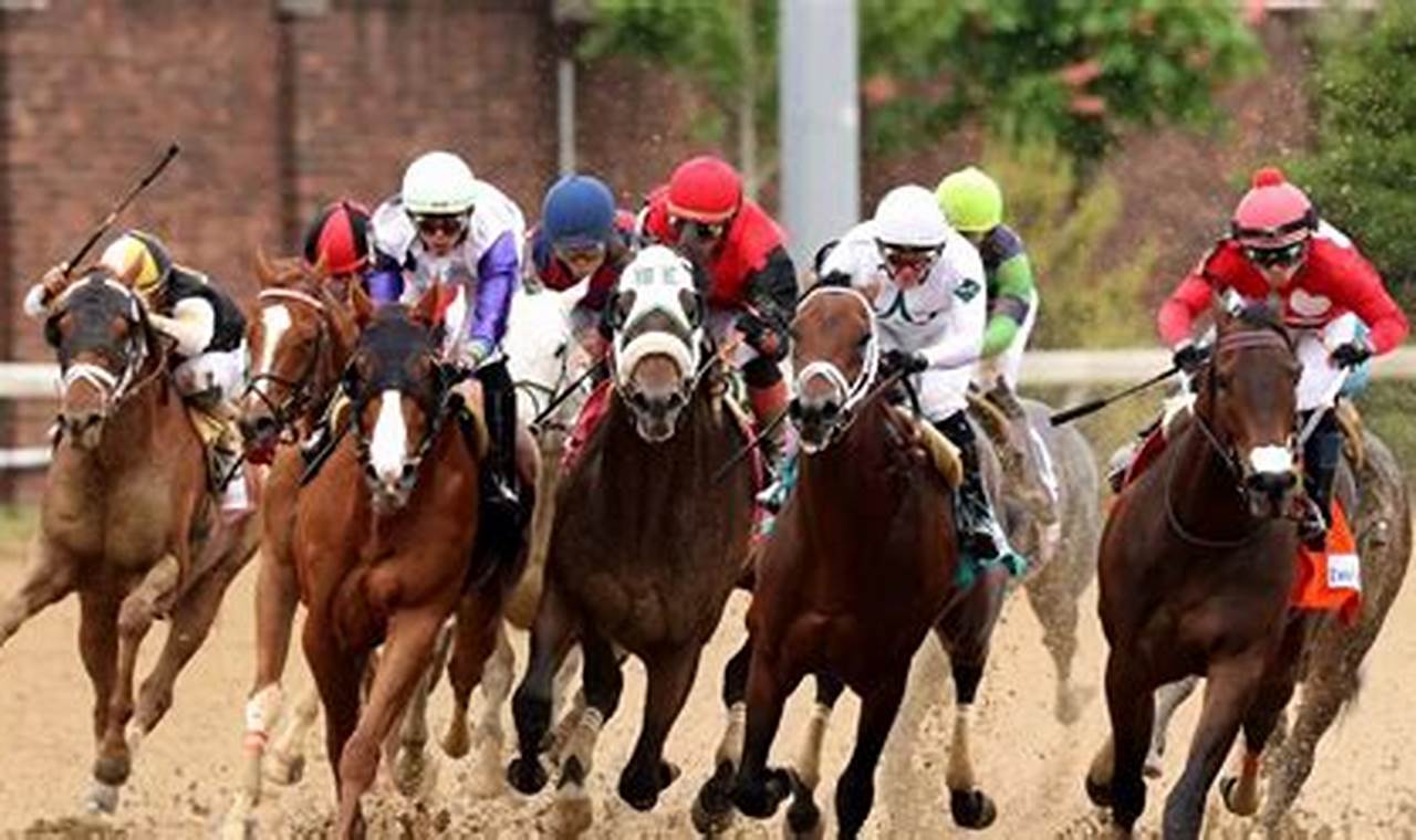 Horse To Win Kentucky Derby 2024